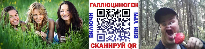 Купить где  Кизилюрт  Псилоцибиновые грибы ЛСД 