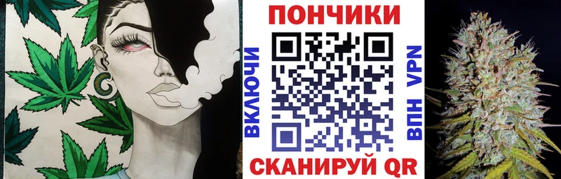 Купить  Кизилюрт  Бошки Шишки план 